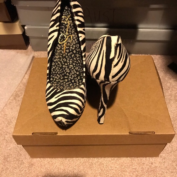 Zebra 🦓 - Picture 2 of 4